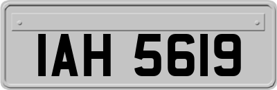 IAH5619