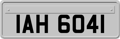 IAH6041