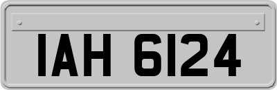 IAH6124