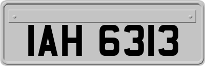 IAH6313