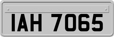 IAH7065