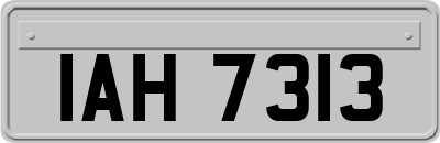 IAH7313