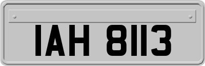 IAH8113