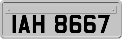 IAH8667