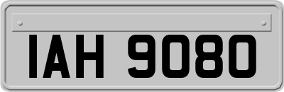 IAH9080