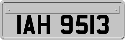 IAH9513