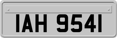 IAH9541