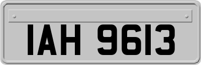 IAH9613
