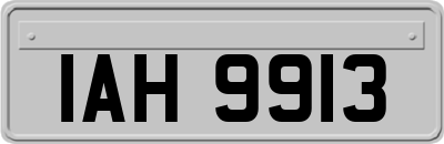 IAH9913