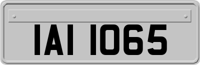 IAI1065