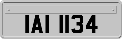 IAI1134