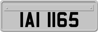 IAI1165