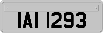 IAI1293