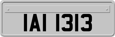IAI1313