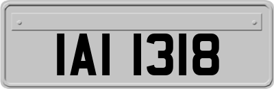 IAI1318