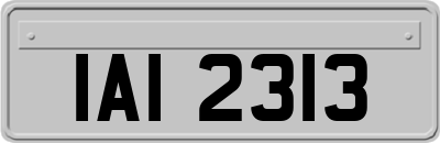 IAI2313