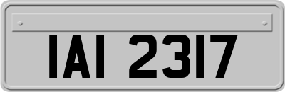IAI2317