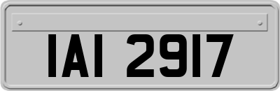 IAI2917