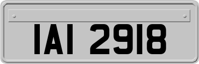 IAI2918