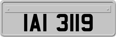 IAI3119