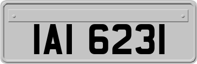 IAI6231