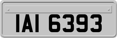 IAI6393