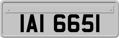 IAI6651