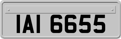 IAI6655