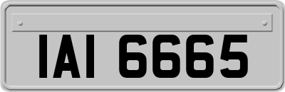 IAI6665