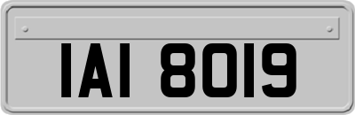 IAI8019
