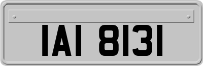 IAI8131