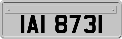 IAI8731