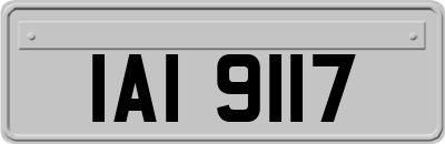 IAI9117