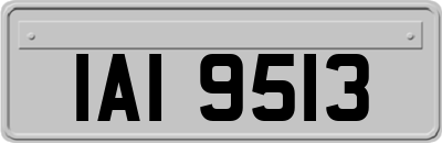 IAI9513
