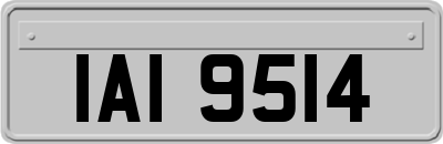 IAI9514