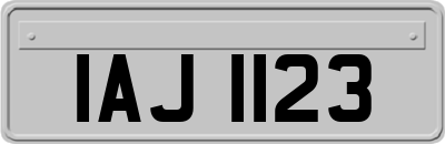 IAJ1123