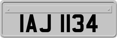 IAJ1134