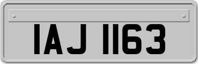 IAJ1163