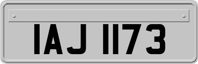 IAJ1173