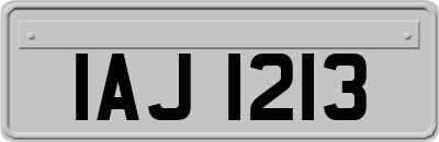 IAJ1213
