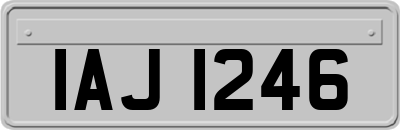 IAJ1246