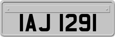 IAJ1291