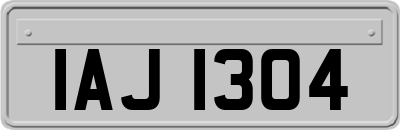IAJ1304