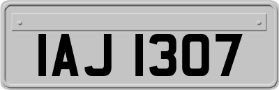 IAJ1307