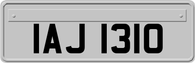 IAJ1310