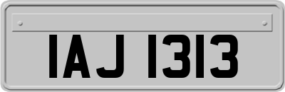 IAJ1313