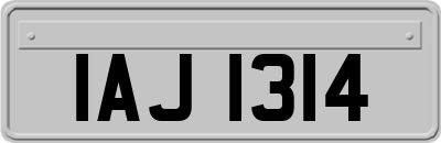 IAJ1314