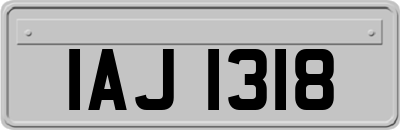 IAJ1318