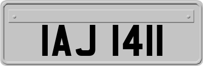 IAJ1411