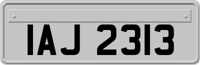 IAJ2313